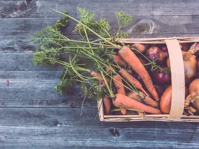 Un jardinier utilisant une tablette numérique devant ses semis pour choisir ses variétés de légumes.