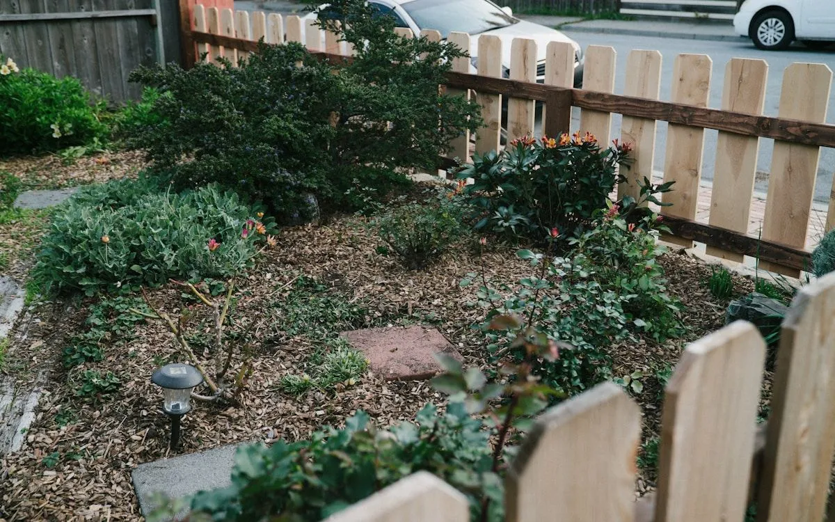 Un potager en hiver avec une parcelle couverte de paillage de paille et une autre parcelle couverte d'un engrais vert dense et vert.