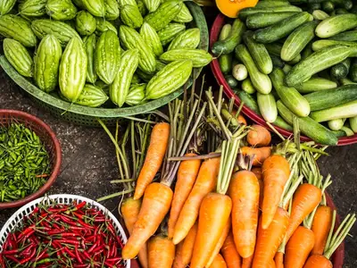 Un potager protégé du soleil par une toile d'ombrage tendue au-dessus des plants de tomates et de salades.