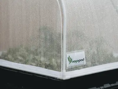 Gelées tardives avril 2026 : 3 erreurs qui tuent tes plants ce soir