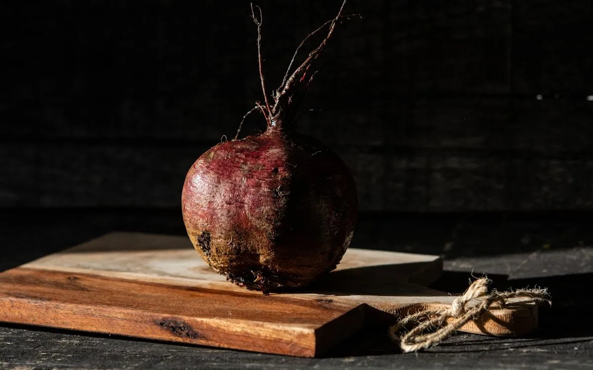 Jardinier utilisant une application sur son smartphone pour identifier une maladie sur une feuille de tomate dans son potager.