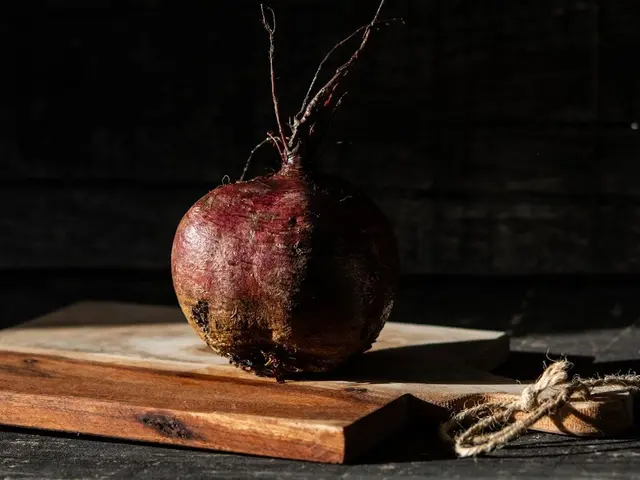 Jardinier utilisant une application sur son smartphone pour identifier une maladie sur une feuille de tomate dans son potager.