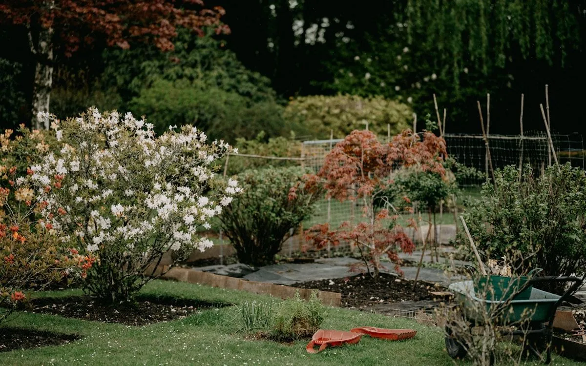 Jardinier trempant les racines nues d'un jeune pommier dans un seau rempli d'un pralin argileux avant la plantation.