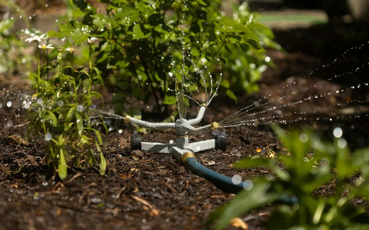 Un jardinier broyant des branches de haie fraîchement taillées avec un broyeur, du paillis s'accumulant au sol.