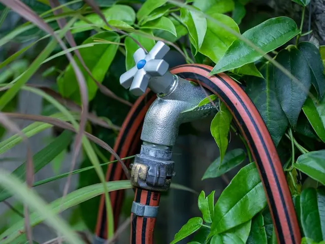 Jardinier purgeant un tuyau d'arrosage avec un compresseur à air avant l'hiver.