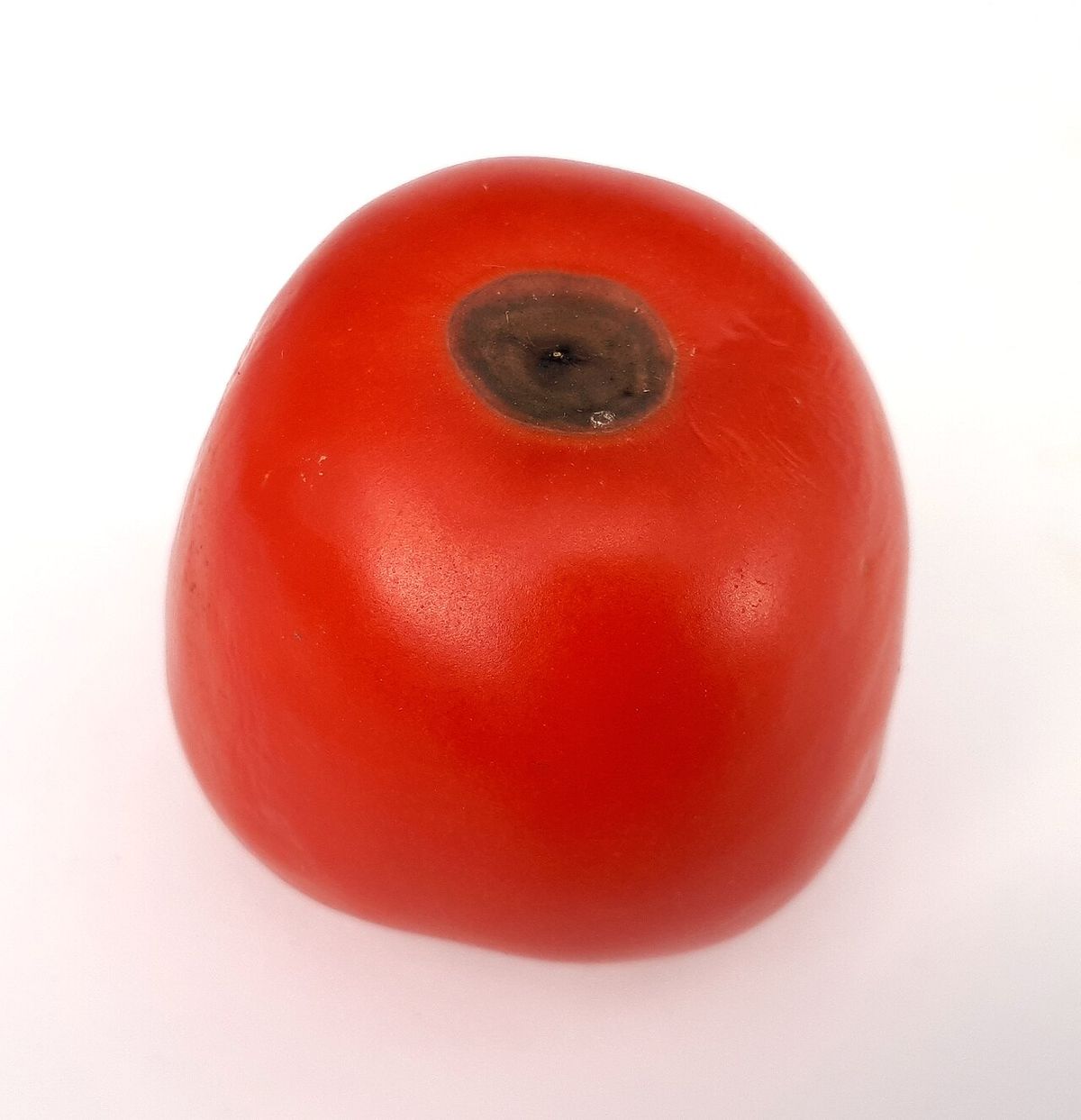 Tomate rouge avec nécrose apicale : tache brun-noir plate et liégeuse enfoncée à l'extrémité opposée au pédoncule